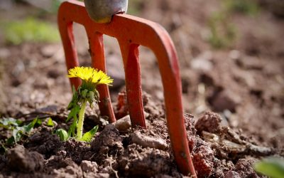 Resilience: Our ability to bounce back depends more on what’s around us than what’s within us